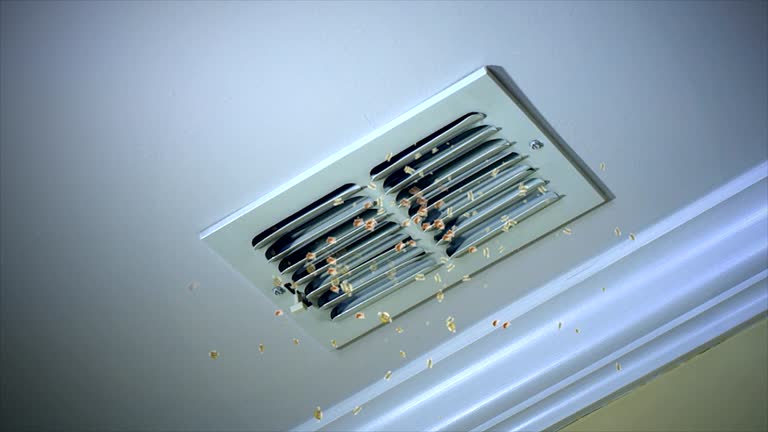 Best HVAC Duct Inspection Services  in Bartlett, IL