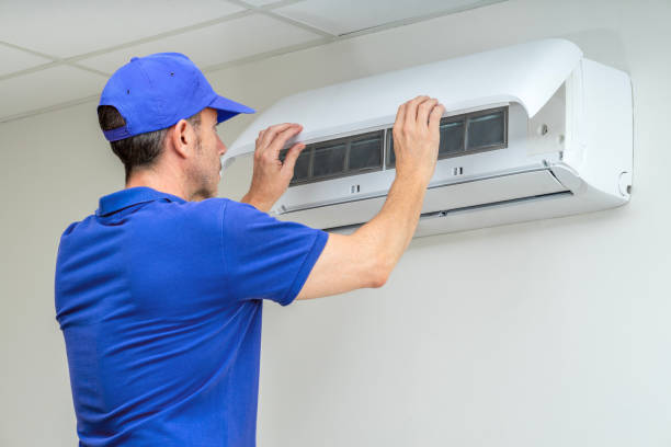 Best Air Duct Sanitizing Services  in Bartlett, IL
