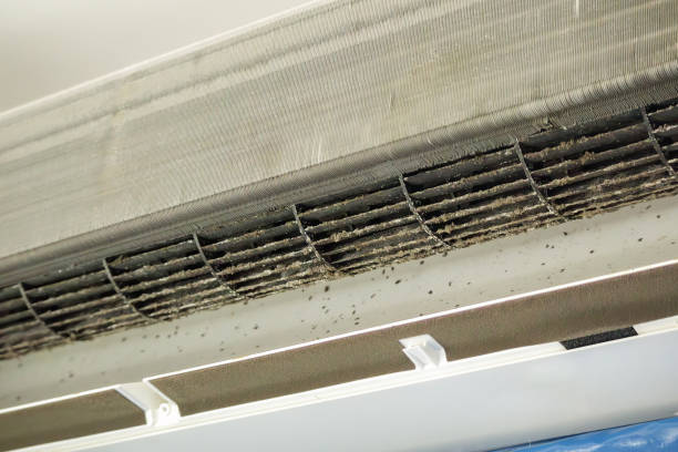 Best Local Air Duct Cleaning Services  in Bartlett, IL